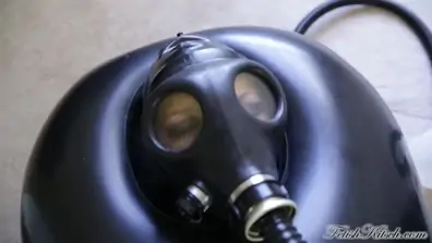 Day in total enclosure